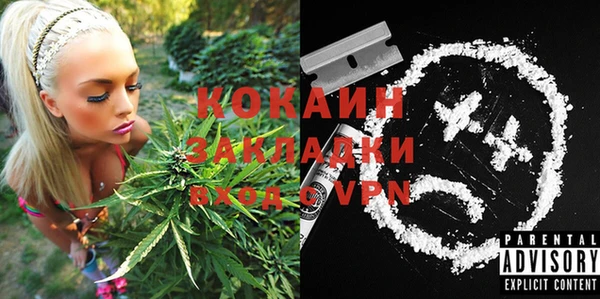ГАЛЛЮЦИНОГЕННЫЕ ГРИБЫ Белокуриха