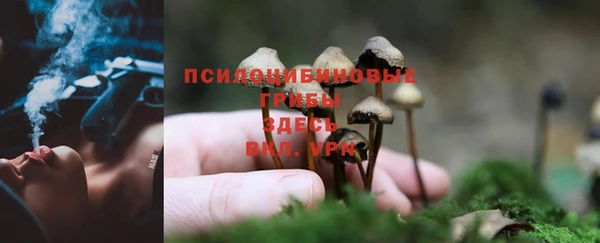 дурь Заволжск