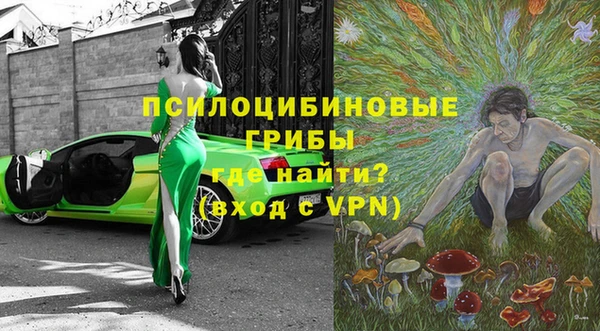 спиды Зеленокумск