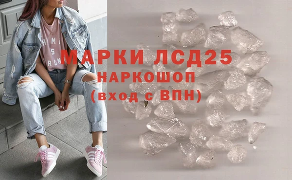 стаф Балахна