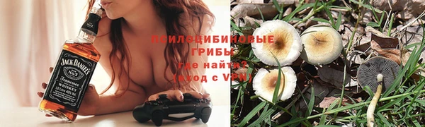 СК Зерноград