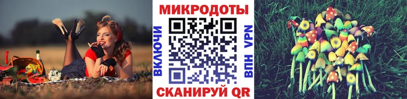 Галлюциногенные грибы прущие грибы  Плавск 